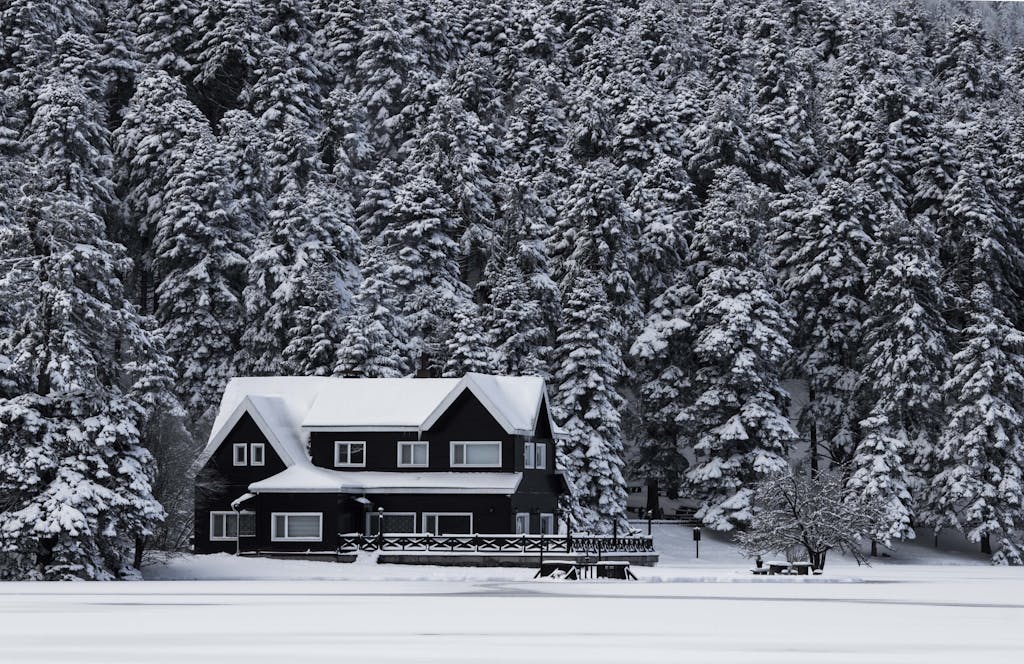 A scenic winter landscape featuring a snow-covered house surrounded by a dense, frosted forest.